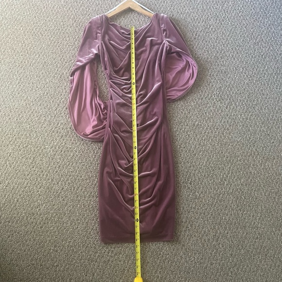 Betsy & Adam Rose Velvet Dress - Picture 10 of 14